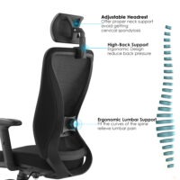 orthopedic chair, orthopedic office chair, orthopedic desk chair, orthopedic executive chair, orthopedic ergonomic chair, orthopedic study chair, orthopedic mesh chair, orthopedic leather chair, orthopedic computer chair, orthopedic home office chair, orthopedic lumbar chair, orthopedic posture chair, orthopedic seating, orthopedic back support chair, orthopedic swivel chair, orthopedic rolling chair, orthopedic adjustable chair, orthopedic executive seating, orthopedic task chair, orthopedic reclining chair, orthopedic professional chair, orthopedic manager chair, orthopedic director chair, orthopedic high-back chair, orthopedic mid-back chair, orthopedic low-back chair, orthopedic memory foam chair, orthopedic cushioned chair, orthopedic padded chair, orthopedic breathable chair, orthopedic chair with lumbar support, orthopedic chair with headrest, orthopedic chair with armrests, orthopedic chair with adjustable height, orthopedic chair with recline function, orthopedic chair with tilt mechanism, orthopedic chair with swivel base, orthopedic chair with wheels, orthopedic chair with mesh back, orthopedic chair with leather finish, orthopedic chair with fabric finish, orthopedic chair for long sitting, orthopedic chair for office use, orthopedic chair for home office, orthopedic chair for corporate office, orthopedic chair for study room, orthopedic chair for school, orthopedic chair for university, orthopedic chair for training room, orthopedic chair for conference room, orthopedic chair for directors, orthopedic chair for executives, orthopedic chair for managers, orthopedic chair for employees, orthopedic chair with adjustable armrests, orthopedic chair with adjustable backrest, orthopedic chair with adjustable seat depth, orthopedic chair with adjustable lumbar, orthopedic chair with adjustable headrest, orthopedic chair with ergonomic features, orthopedic chair with posture alignment, orthopedic chair with spinal support, orthopedic chair with orthopedic design, orthopedic chair for back pain relief, orthopedic chair for posture correction, orthopedic chair for long hours, orthopedic chair for computer work, orthopedic chair for writing, orthopedic chair for study, orthopedic chair for gaming, orthopedic chair with premium materials, orthopedic chair with high-density foam, orthopedic chair with memory foam seat, orthopedic chair with padded armrests, orthopedic chair with ergonomic backrest, orthopedic chair with waterfall seat, orthopedic chair with breathable fabric, orthopedic chair with mesh and fabric combination, orthopedic chair with lumbar pillow, orthopedic chair with adjustable tilt tension, orthopedic chair with recline lock, orthopedic chair with synchronous tilt, orthopedic chair with swivel and tilt, orthopedic chair with seat slider, orthopedic chair with 360-degree rotation, orthopedic chair with 4D armrests, orthopedic chair with flip-up armrests, orthopedic chair with pivot armrests, orthopedic chair with multi-direction armrests, orthopedic chair with removable headrest, orthopedic chair with contoured headrest, orthopedic chair with adjustable headrest height, orthopedic chair with ergonomic cushioning, orthopedic chair with breathable back support, orthopedic chair for professional office, orthopedic chair for corporate office, orthopedic chair for home workspace, orthopedic chair for executive office, orthopedic chair for creative office, orthopedic chair for collaborative workspace, orthopedic chair for conference room, orthopedic chair for training room, orthopedic chair for study desk, orthopedic chair for computer desk, orthopedic chair for executive desk, orthopedic chair for director desk, orthopedic chair for manager desk, orthopedic chair for team workspace, orthopedic chair for coworking space, orthopedic chair for private office, orthopedic chair for home study, orthopedic chair for home workspace, orthopedic chair for library, orthopedic chair for research labs, orthopedic chair for IT office, orthopedic chair for design studio, orthopedic chair for professional environment, orthopedic chair for digital workspace, orthopedic chair with adjustable recline, orthopedic chair with adjustable lumbar support, orthopedic chair with adjustable arm height, orthopedic chair with adjustable arm width, orthopedic chair with adjustable seat angle, orthopedic chair with seat depth adjustment, orthopedic chair with ergonomic contour, orthopedic chair with orthopedic support, orthopedic chair with professional look, orthopedic chair with modern aesthetics, orthopedic chair with contemporary styling, orthopedic chair with classic design, orthopedic chair with minimalist look, orthopedic chair for multi-purpose use, orthopedic chair for corporate meetings, orthopedic chair for office workspace, orthopedic chair for creative professionals, orthopedic chair for home study, orthopedic chair for educational use, orthopedic chair for library study, orthopedic chair for IT and technology workspace, orthopedic chair with swivel base, orthopedic chair with caster wheels, orthopedic chair with anti-slip base, orthopedic chair with 5-star base, orthopedic chair with tilt-lock mechanism, orthopedic chair with gas lift, orthopedic chair with pneumatic height adjustment, orthopedic chair with breathable mesh back, orthopedic chair with ventilated back, orthopedic chair with waterfall seat edge, orthopedic chair with seat tilt mechanism, orthopedic chair with lumbar support pillow, orthopedic chair with contoured headrest, orthopedic chair with pivot armrests, orthopedic chair with ergonomic cushioning, orthopedic chair with posture alignment, orthopedic chair with spinal support, orthopedic chair with office comfort, orthopedic chair with executive comfort, orthopedic chair with home office comfort, orthopedic chair with executive style, orthopedic chair with professional style, orthopedic chair with stylish design, orthopedic chair with modern design, orthopedic chair with classic design, orthopedic chair for productivity-focused workspace, orthopedic chair for corporate comfort, orthopedic chair with long-lasting durability, orthopedic chair with reinforced structure, orthopedic chair with sleek appearance, orthopedic chair with high-quality construction, orthopedic chair with professional-grade materials, orthopedic chair with ergonomic features for health and posture, orthopedic chair with adjustable tilt and swivel, orthopedic chair with cushioned seat, orthopedic chair with mesh backrest, orthopedic chair with lumbar curve, orthopedic chair with orthopedic contour, orthopedic chair with orthopedic posture support, orthopedic chair with long-term office comfort, orthopedic chair with multi-angle tilt, orthopedic chair with ergonomic armrests, orthopedic chair with headrest adjustment, orthopedic chair with lumbar support adjustment, orthopedic chair with ergonomic seat, orthopedic chair with orthopedic memory foam, orthopedic chair with padded seat, orthopedic chair with breathable mesh, orthopedic chair with mesh and fabric combo, orthopedic chair with office-friendly design, orthopedic chair with executive-class comfort, orthopedic chair with multi-functional office use, orthopedic chair with compact footprint, orthopedic chair with home and office use, orthopedic chair with professional aesthetic, orthopedic chair with contemporary ergonomic design, orthopedic chair with modern ergonomic office, orthopedic chair with classic ergonomic design, orthopedic chair with luxury executive features, orthopedic chair with versatile office use, orthopedic chair with multi-purpose ergonomic use, orthopedic chair with professional-grade ergonomic support, orthopedic chair with long-duration office comfort, orthopedic chair with premium ergonomic design, orthopedic chair with high-quality construction, orthopedic chair with durable frame, orthopedic chair with ergonomic workstation design, orthopedic chair with modern and classic aesthetics, orthopedic chair with professional office ergonomics, orthopedic chair with multipurpose functionality, orthopedic chair with stylish executive look, orthopedic chair with adjustable ergonomic features, orthopedic chair with multi-direction tilt, orthopedic chair with ergonomic swivel, orthopedic chair with rolling base, orthopedic chair with professional-grade seating, orthopedic chair with ergonomic posture, orthopedic chair with orthopedic health benefits, orthopedic chair with long-lasting comfort, orthopedic chair with office productivity focus, orthopedic chair with high-end ergonomic features, orthopedic chair with executive workspace compatibility, orthopedic chair with multipurpose storage options, orthopedic chair with adjustable height and tilt, orthopedic chair with ergonomic desk compatibility, orthopedic chair with office and home use, orthopedic chair with executive ergonomic support, orthopedic chair with high-quality finish, orthopedic chair with sleek ergonomic design, orthopedic chair with professional office setup, orthopedic chair with luxury comfort, orthopedic chair with modern office appeal, orthopedic chair with contemporary executive design, orthopedic chair with classic office aesthetics, orthopedic chair with multi-purpose use, orthopedic chair with ergonomic features for health, posture, and productivity, orthopedic chair with adjustable lumbar and headrest, orthopedic chair with cushioned seating, orthopedic chair with breathable back support, orthopedic chair with long-term durability, orthopedic chair with professional-grade construction, orthopedic chair with executive-class style, orthopedic chair with versatile office use, orthopedic chair with multi-purpose functionality, orthopedic chair with modern and classic appeal, orthopedic chair with luxury ergonomic comfort, orthopedic chair with ergonomic multi-functional design, orthopedic chair with executive home and office use, orthopedic chair with multipurpose ergonomic features, orthopedic chair with adjustable tilt, lumbar, and headrest, orthopedic chair with ergonomic armrests, orthopedic chair with swivel and rolling base, orthopedic chair with ergonomic memory foam seat, orthopedic chair with padded armrests, orthopedic chair with mesh back, orthopedic chair with professional-grade materials, orthopedic chair with long-lasting durability, orthopedic chair with high-quality construction, orthopedic chair with multi-functional office use, orthopedic chair with premium ergonomic design, orthopedic chair with professional office ergonomics, orthopedic chair with modern, contemporary, classic, stylish, executive, functional, durable, high-quality, premium, multi-purpose, adjustable, breathable, ergonomic, posture-supporting, professional, long-lasting, sleek, luxury, versatile, minimalist, office-ready, multi-angle tilt, swivel, rolling, memory foam, padded, mesh, adjustable lumbar, adjustable headrest, adjustable armrests, multi-functional, long-duration, high-end, premium ergonomic, professional-grade, multi-purpose ergonomic, executive office, home office, corporate office, study, library, research, workstation, creative space, modern design, classic design, contemporary design, functional, ergonomic office, office productivity, executive comfort, home office comfort, premium materials, durable frame, ergonomic seating, orthopedic support, posture correction, health-focused, professional aesthetics, stylish design, luxury comfort, executive-grade, versatile use, compact design, adjustable features, workspace efficiency, multipurpose office furniture, professional-grade ergonomic chair, executive-class ergonomic chair, multi-functional ergonomic office chair, modern ergonomic chair, classic ergonomic chair, contemporary ergonomic chair, high-quality office chair, ergonomic chair for home and office, orthopedic chair for long hours, orthopedic chair for back health, orthopedic chair with ergonomic benefits, orthopedic chair with posture support, orthopedic chair with comfort and style.