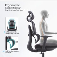 orthopedic chair, office orthopedic chair, ergonomic orthopedic chair, executive orthopedic chair, computer orthopedic chair, swivel orthopedic chair, mesh orthopedic chair, leather orthopedic chair, fabric orthopedic chair, PU leather orthopedic chair, padded orthopedic chair, cushioned orthopedic chair, adjustable orthopedic chair, reclining orthopedic chair, orthopedic chair with lumbar support, orthopedic chair with headrest, orthopedic chair with armrests, orthopedic chair without armrests, orthopedic chair for office, orthopedic chair for home office, orthopedic chair for corporate office, orthopedic chair for business office, orthopedic chair for managers, orthopedic chair for directors, orthopedic chair for executives, orthopedic chair for CEO, orthopedic chair for staff, orthopedic chair for employees, orthopedic chair for long hours, orthopedic chair for desk work, orthopedic chair for computer use, orthopedic chair for gaming, orthopedic chair for study, orthopedic chair for professional workspace, orthopedic chair for modern office, orthopedic chair for contemporary office, orthopedic chair for luxury office, orthopedic chair for stylish office, orthopedic chair for workspace interiors, orthopedic chair for office interiors, orthopedic chair for home workspace, orthopedic chair for remote work, orthopedic chair with wheels, orthopedic chair with casters, orthopedic chair with 360 degree swivel, orthopedic chair with tilt mechanism, orthopedic chair with reclining back, orthopedic chair with high back, orthopedic chair with medium back, orthopedic chair with breathable mesh, orthopedic chair with comfortable cushioning, orthopedic chair with memory foam, orthopedic chair with high density foam, orthopedic chair with durable frame, orthopedic chair with sturdy base, orthopedic chair with heavy duty build, orthopedic chair with commercial grade quality, orthopedic chair with premium finish, orthopedic chair with matte finish, orthopedic chair with glossy finish, orthopedic chair with polished surface, orthopedic chair with textured surface, orthopedic chair with scratch resistant surface, orthopedic chair with stain resistant surface, orthopedic chair easy to clean, orthopedic chair for daily use, orthopedic chair for high traffic areas, orthopedic chair for professional setup, orthopedic chair for corporate setup, orthopedic chair for office setup, orthopedic chair for executive suite, orthopedic chair for boardroom, orthopedic chair for conference room, orthopedic chair for meeting room, orthopedic chair for coworking space, orthopedic chair for startup office, orthopedic chair for IT office, orthopedic chair for creative office, orthopedic chair for design studio, orthopedic chair for study room, orthopedic chair for student desk, orthopedic chair for library, orthopedic chair for classroom, orthopedic chair for training room, orthopedic chair for seminar room, orthopedic chair for educational institutions, orthopedic chair for schools, orthopedic chair for universities, orthopedic chair for colleges, orthopedic chair furniture, office orthopedic chair furniture, commercial orthopedic chair furniture, corporate orthopedic chair furniture, premium orthopedic chair furniture, luxury orthopedic chair furniture, modern orthopedic chair furniture, contemporary orthopedic chair furniture, stylish orthopedic chair furniture, functional orthopedic chair furniture, durable orthopedic chair furniture, long lasting orthopedic chair furniture, high quality orthopedic chair furniture, commercial office orthopedic chair, orthopedic chair B2B furniture, orthopedic chair wholesale, orthopedic chair supplier, orthopedic chair manufacturer, orthopedic chair showroom, orthopedic chair bulk purchase, orthopedic chair contract furniture, orthopedic chair office solution, orthopedic chair workspace solution, orthopedic chair corporate solution, orthopedic chair professional solution, orthopedic chair business solution, orthopedic chair comfort solution, orthopedic chair ergonomic solution, orthopedic chair adjustable solution, orthopedic chair heavy duty solution, orthopedic chair breathable mesh, orthopedic chair padded seat, orthopedic chair lumbar support, orthopedic chair SEO tags, orthopedic chair keywords, orthopedic chair product tags, orthopedic chair meta tags, orthopedic chair ecommerce SEO, orthopedic chair Shopify tags, orthopedic chair WooCommerce tags, orthopedic chair 1000 SEO tags.