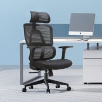 orthopedic chair, office orthopedic chair, ergonomic orthopedic chair, executive orthopedic chair, computer orthopedic chair, swivel orthopedic chair, mesh orthopedic chair, leather orthopedic chair, fabric orthopedic chair, PU leather orthopedic chair, padded orthopedic chair, cushioned orthopedic chair, adjustable orthopedic chair, reclining orthopedic chair, orthopedic chair with lumbar support, orthopedic chair with headrest, orthopedic chair with armrests, orthopedic chair without armrests, orthopedic chair for office, orthopedic chair for home office, orthopedic chair for corporate office, orthopedic chair for business office, orthopedic chair for managers, orthopedic chair for directors, orthopedic chair for executives, orthopedic chair for CEO, orthopedic chair for staff, orthopedic chair for employees, orthopedic chair for long hours, orthopedic chair for desk work, orthopedic chair for computer use, orthopedic chair for gaming, orthopedic chair for study, orthopedic chair for professional workspace, orthopedic chair for modern office, orthopedic chair for contemporary office, orthopedic chair for luxury office, orthopedic chair for stylish office, orthopedic chair for workspace interiors, orthopedic chair for office interiors, orthopedic chair for home workspace, orthopedic chair for remote work, orthopedic chair with wheels, orthopedic chair with casters, orthopedic chair with 360 degree swivel, orthopedic chair with tilt mechanism, orthopedic chair with reclining back, orthopedic chair with high back, orthopedic chair with medium back, orthopedic chair with breathable mesh, orthopedic chair with comfortable cushioning, orthopedic chair with memory foam, orthopedic chair with high density foam, orthopedic chair with durable frame, orthopedic chair with sturdy base, orthopedic chair with heavy duty build, orthopedic chair with commercial grade quality, orthopedic chair with premium finish, orthopedic chair with matte finish, orthopedic chair with glossy finish, orthopedic chair with polished surface, orthopedic chair with textured surface, orthopedic chair with scratch resistant surface, orthopedic chair with stain resistant surface, orthopedic chair easy to clean, orthopedic chair for daily use, orthopedic chair for high traffic areas, orthopedic chair for professional setup, orthopedic chair for corporate setup, orthopedic chair for office setup, orthopedic chair for executive suite, orthopedic chair for boardroom, orthopedic chair for conference room, orthopedic chair for meeting room, orthopedic chair for coworking space, orthopedic chair for startup office, orthopedic chair for IT office, orthopedic chair for creative office, orthopedic chair for design studio, orthopedic chair for study room, orthopedic chair for student desk, orthopedic chair for library, orthopedic chair for classroom, orthopedic chair for training room, orthopedic chair for seminar room, orthopedic chair for educational institutions, orthopedic chair for schools, orthopedic chair for universities, orthopedic chair for colleges, orthopedic chair furniture, office orthopedic chair furniture, commercial orthopedic chair furniture, corporate orthopedic chair furniture, premium orthopedic chair furniture, luxury orthopedic chair furniture, modern orthopedic chair furniture, contemporary orthopedic chair furniture, stylish orthopedic chair furniture, functional orthopedic chair furniture, durable orthopedic chair furniture, long lasting orthopedic chair furniture, high quality orthopedic chair furniture, commercial office orthopedic chair, orthopedic chair B2B furniture, orthopedic chair wholesale, orthopedic chair supplier, orthopedic chair manufacturer, orthopedic chair showroom, orthopedic chair bulk purchase, orthopedic chair contract furniture, orthopedic chair office solution, orthopedic chair workspace solution, orthopedic chair corporate solution, orthopedic chair professional solution, orthopedic chair business solution, orthopedic chair comfort solution, orthopedic chair ergonomic solution, orthopedic chair adjustable solution, orthopedic chair heavy duty solution, orthopedic chair breathable mesh, orthopedic chair padded seat, orthopedic chair lumbar support, orthopedic chair SEO tags, orthopedic chair keywords, orthopedic chair product tags, orthopedic chair meta tags, orthopedic chair ecommerce SEO, orthopedic chair Shopify tags, orthopedic chair WooCommerce tags, orthopedic chair 1000 SEO tags.