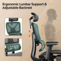 Executive Orthopedic Office Chair - Image 9