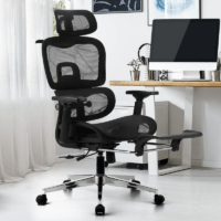 ergonomic mesh chair, mesh ergonomic chair, breathable mesh office chair, ergonomic mesh office chair, high back mesh chair, mid back mesh chair, adjustable mesh office chair, lumbar support mesh chair, ergonomic desk chair mesh, office chair breathable mesh, swivel mesh office chair, rolling mesh chair, computer mesh chair, home office mesh chair, executive mesh chair, modern mesh office chair, comfortable mesh chair, ergonomic task mesh chair, adjustable height mesh chair, reclining mesh office chair, mesh chair with headrest, mesh chair with armrests, mesh chair with wheels, ergonomic chair breathable back, mesh back office chair ergonomic, ventilated mesh chair, cooling mesh office chair, posture support mesh chair, spine support mesh chair, ergonomic seating mesh chair, long hours mesh office chair, work from home mesh chair, productivity office mesh chair, study mesh chair ergonomic, computer desk mesh chair, professional mesh office chair, premium mesh ergonomic chair, budget mesh office chair, heavy duty mesh chair, durable mesh office chair, strong frame mesh chair, adjustable lumbar mesh chair, ergonomic lumbar support chair mesh, padded mesh seat chair, breathable back support chair, ergonomic office seating mesh, task chair mesh back, ergonomic workstation mesh chair, modern desk mesh chair, stylish mesh office chair, sleek mesh ergonomic chair, minimalist mesh office chair, industrial mesh chair, executive workstation mesh chair, corporate office mesh chair, home workspace mesh chair, gaming mesh office chair, office chair ergonomic breathable, ergonomic chair with mesh backrest, adjustable office chair mesh design, comfortable workstation mesh chair, high performance mesh office chair, office furniture mesh chair ergonomic, ergonomic computer chair mesh, office chair for long sitting, mesh chair for back pain relief, ergonomic chair for posture correction, office chair for spine alignment, breathable ergonomic workstation chair, mesh office chair with tilt function, mesh office chair with reclining feature, mesh office chair with adjustable arms, mesh office chair with head support, ergonomic chair with breathable fabric, ventilated office chair mesh design, ergonomic office chair for comfort, office chair for productivity, ergonomic chair for home use, office chair for computer setup, office chair for office desk, ergonomic chair for remote work, mesh chair for office workstation, ergonomic chair for executives, ergonomic chair for professionals, ergonomic chair for students, adjustable ergonomic workstation chair, modern ergonomic seating solution, breathable ergonomic desk chair, office chair ergonomic design mesh, ergonomic chair for daily use, comfortable office seating mesh, ergonomic chair with support features, ergonomic chair for office productivity, mesh office chair ergonomic design, ergonomic chair for workspace setup, office chair for healthy posture, ergonomic chair for long sitting hours, adjustable mesh back chair, ergonomic chair for back support comfort, office chair with breathable mesh back, ergonomic chair for computer workstation, mesh ergonomic seating solution, office chair with ergonomic structure, breathable workstation chair mesh, ergonomic office chair modern design, supportive mesh office chair, ergonomic chair for office comfort, adjustable office seating mesh chair, ergonomic chair for desk work, office chair with lumbar mesh support, ergonomic chair for office environment, breathable office workstation chair, ergonomic chair for office professionals, mesh office chair with ergonomic build, office chair for healthy sitting posture, ergonomic chair for productivity workspace, comfortable ergonomic mesh seating, ergonomic chair for modern offices