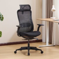 study desk chair, study chair, desk chair, student chair, home study chair, ergonomic study chair, study room chair, writing chair, reading chair, office study chair, small desk chair, compact study chair, wooden study chair, modern study chair, adjustable study chair, ergonomic desk chair, computer desk chair, home office chair, student desk seating, study table chair, learning chair, academic chair, school study chair, library chair, comfortable study chair, padded study chair, mesh study chair, back support chair, posture support chair, ergonomic seating chair, swivel study chair, lightweight desk chair, durable study chair, budget study chair, premium study chair, minimalist study chair, contemporary study chair, stylish study chair, functional study chair, study chair with wheels, study chair without wheels, height adjustable chair, study chair for long hours, compact office chair, home learning desk chair, student workstation chair, study chair for kids, study chair for adults, study chair ergonomic design, study chair with armrests, study chair with lumbar support, study chair with backrest, study chair breathable design, study chair modern furniture, study chair for small spaces, study chair productivity chair, study chair for home office, study chair workspace seating, study chair functional design, study chair comfortable seating, study chair professional use, study chair modern design, study chair durable construction, study chair sleek design, study chair simple design, study chair efficient design, study chair workspace solution, study chair office furniture, study chair home furniture, study chair lightweight design, study chair premium comfort, study chair supportive design, study chair adjustable features, study chair high quality finish, study chair ergonomic support, study chair commercial use, study chair for studying, study chair reading comfort, study chair writing comfort, study chair study setup furniture, study chair clean design, study chair contemporary furniture, study chair space saving design, study chair versatile use, study chair functional workspace furniture, study chair modern workspace, study chair practical design,