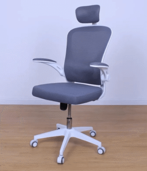 ergonomic mesh chair, ergonomic mesh office chair, mesh office chair, breathable office chair, ergonomic chair, office chair, adjustable mesh chair, ergonomic desk chair, mesh desk chair, computer chair, task chair, swivel office chair, executive mesh chair, high back mesh chair, mid back mesh chair, lumbar support chair, ergonomic lumbar chair, office chair with lumbar support, adjustable office chair, ergonomic seating, mesh back chair, breathable back chair, reclining mesh chair, ergonomic work chair, office seating, home office chair, study chair, workstation chair, executive office chair, premium mesh chair, modern office chair, comfortable office chair, orthopedic office chair, posture support chair, spine support chair, ergonomic computer chair, ergonomic swivel chair, office furniture, workspace furniture, commercial office chair, professional office chair, conference chair, rolling office chair, caster wheel chair, height adjustable chair, tilt mechanism chair, adjustable headrest chair, adjustable armrest chair, ergonomic headrest chair, reclining ergonomic chair, office chair with wheels, chair for back pain, ergonomic chair for long hours, ergonomic study chair, mesh ergonomic seating, breathable ergonomic chair, premium office seating, home office furniture, ergonomic office furniture, adjustable lumbar support, neck support chair, ergonomic chair with headrest, ergonomic chair with armrests, office chair with adjustable height, ergonomic office seating solution, office chair online, buy ergonomic mesh chair, best ergonomic mesh chair, affordable ergonomic chair, luxury office chair, ergonomic chair for home office, ergonomic chair for professionals, ergonomic chair for students, gaming mesh chair, office chair for productivity, ergonomic workspace chair, chair with breathable mesh, mesh chair for office, durable mesh office chair, stylish office chair, modern workspace chair, ergonomic chair with tilt lock, ergonomic chair with footrest, office chair with silent wheels, ergonomic chair with adjustable recline, office chair with padded seat, ergonomic mesh chair with lumbar support, ergonomic mesh chair with headrest, office chair for work from home, ergonomic office chair for daily use, posture correction chair, office chair for long working hours, premium ergonomic office chair, office chair with breathable fabric, ergonomic chair for healthy posture, ergonomic chair for computer desk, ergonomic office essentials, office seating solutions, commercial office furniture, executive ergonomic seating, office comfort chair, ergonomic chair collection, ergonomic chair sale, office chair deals, ergonomic furniture collection, ergonomic mesh seating solution, office chair with synchronized tilt, ergonomic chair with 3D armrests, ergonomic chair with waterfall seat edge, office chair with dynamic support, ergonomic chair for maximum comfort, ergonomic office chair with premium cushioning, ergonomic chair with high density foam seat, office chair with adjustable seat depth, ergonomic office chair with flexible backrest, ergonomic chair with durable frame, ergonomic office chair with smooth mobility, workspace seating solution, office chair with ergonomic support, ergonomic chair for better posture, office chair for all day comfort, ergonomic chair for healthy workspace, ergonomic office chair with breathable comfort, ergonomic chair with comfort technology, office chair for work and study, ergonomic office chair for superior support, ergonomic chair for long sitting, office chair with advanced ergonomics, ergonomic chair with flexible armrests, office chair with superior lumbar support, ergonomic chair for productivity, ergonomic seating for better health, office chair with ergonomic innovation, ergonomic office chair with premium comfort, office chair with stylish design, ergonomic chair with professional quality, ergonomic office furniture solutions, ergonomic chair for business office, ergonomic chair for corporate workspace, office chair with adjustable comfort settings, ergonomic chair with enhanced back support, office chair with premium ergonomic features, ergonomic chair for healthy sitting, office chair with ergonomic performance, ergonomic workspace essentials, office chair with advanced support system, ergonomic chair with premium aesthetics, ergonomic office chair for modern office, ergonomic seating solution for long hours, ergonomic office chair with adjustable support, ergonomic chair with durable construction, ergonomic office chair for smart workspace, ergonomic chair with balanced support, ergonomic office chair with modern interiors, ergonomic chair with personalized comfort, ergonomic office chair with high performance design, ergonomic office chair with premium quality materials, ergonomic chair with innovative support system, office chair with ergonomic comfort technology, ergonomic office chair for healthier workspace, ergonomic chair with elegant modern design, ergonomic chair for premium office experience, ergonomic office chair with exceptional comfort, ergonomic office chair for enhanced productivity, ergonomic chair with premium ergonomic support, office chair for stylish workspace, ergonomic office chair for everyday performance, ergonomic chair for efficient office setup, breathable mesh seating, airflow mesh office chair, ventilated office chair, mesh ergonomic furniture, premium breathable office chair, modern ergonomic mesh seating, durable mesh back office chair, ergonomic chair for remote work, ergonomic office chair with breathable mesh back, ergonomic office chair for workplace wellness, ergonomic office chair with quality craftsmanship, ergonomic chair for contemporary office, ergonomic office chair with ergonomic engineering, ergonomic chair with reliable performance, office chair with optimized comfort, ergonomic chair with quality materials, ergonomic office chair for home workspace, ergonomic seating for home and office, ergonomic office chair for improved posture, ergonomic mesh chair with adjustable lumbar support, ergonomic mesh chair with adjustable headrest, ergonomic mesh chair with adjustable armrests, ergonomic mesh chair with reclining backrest, ergonomic mesh chair with smooth rolling casters, ergonomic mesh chair for office, ergonomic mesh chair for home, ergonomic mesh chair for study, ergonomic mesh chair for workstation, ergonomic mesh chair for executives, ergonomic mesh chair for professionals, ergonomic mesh chair for students, ergonomic mesh chair for computer work, ergonomic mesh chair with premium build quality, ergonomic mesh chair with durable frame, ergonomic mesh chair with breathable comfort, ergonomic mesh chair with modern design, ergonomic mesh chair with ergonomic features, ergonomic mesh chair for all day sitting, ergonomic mesh chair for healthy posture, ergonomic mesh chair for maximum productivity, ergonomic mesh chair with comfort focused design, ergonomic mesh chair for smart office, ergonomic mesh chair for business workspace, ergonomic mesh chair collection, ergonomic mesh chair online, ergonomic mesh office furniture, mesh seating solutions, office mesh chair furniture, breathable workspace chair, ergonomic chair for office productivity, ergonomic office seating furniture, premium mesh seating collection.