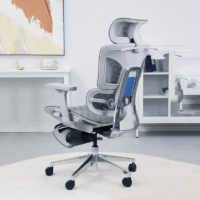 Orthopedic Ergonomic Mesh Chair - Image 4