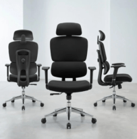 orthopedic fabric chair Kenya, orthopedic fabric office chair Kenya, ergonomic fabric office chair Kenya, orthopedic office chair Kenya, ergonomic office chair Kenya, fabric office chair Kenya, orthopedic swivel chair Kenya, ergonomic swivel chair Kenya, orthopedic task chair Kenya, fabric task chair Kenya, orthopedic executive chair Kenya, fabric executive office chair Kenya, orthopedic high back chair Kenya, high back fabric office chair Kenya, lumbar support office chair Kenya, office chair with back support Kenya, posture support office chair Kenya, adjustable orthopedic office chair Kenya, adjustable ergonomic office chair Kenya, comfortable fabric office chair Kenya, office chair for long hours Kenya, modern fabric office chair Kenya, premium fabric office chair Kenya, durable fabric office chair Kenya, affordable orthopedic chair Kenya, high quality office chair Kenya, professional office chair Kenya, padded office chair Kenya, upholstered office chair Kenya, breathable fabric office chair Kenya, orthopedic fabric chair for sale Kenya, ergonomic fabric chair for sale Kenya, orthopedic office chair for sale Kenya, fabric office chair for sale Kenya, orthopedic fabric chair price Kenya, ergonomic office chair price Kenya, fabric office chair price Kenya, office chair price Kenya, buy orthopedic fabric chair Kenya, buy ergonomic fabric chair Kenya, buy fabric office chair Kenya, buy orthopedic office chair Kenya, orthopedic fabric chair online Kenya, fabric office chair online Kenya, ergonomic office chair online Kenya, office furniture online Kenya, best orthopedic fabric chair Kenya, best ergonomic office chair Kenya, best fabric office chair Kenya, affordable ergonomic chair Kenya, premium orthopedic office chair Kenya, comfortable office chair Kenya, ergonomic workplace chair Kenya, office seating Kenya, fabric office seating Kenya, orthopedic seating Kenya, ergonomic office furniture Kenya, office furniture Kenya, modern office furniture Kenya, orthopedic fabric chair supplier Kenya, fabric office chair supplier Kenya, ergonomic chair supplier Kenya, office chair supplier Kenya, orthopedic chair suppliers Kenya, office furniture supplier Kenya, office furniture suppliers Kenya, fabric chair manufacturer Kenya, orthopedic chair manufacturer Kenya, office chair manufacturer Kenya, ergonomic chair manufacturer Kenya, office furniture manufacturer Kenya, orthopedic chair dealer Kenya, office chair dealer Kenya, fabric office chair dealer Kenya, office furniture dealer Kenya, fabric office chairs wholesale Kenya, ergonomic chairs wholesale Kenya, office chairs wholesale Kenya, bulk office chairs Kenya, bulk ergonomic chairs Kenya, corporate office chair supply Kenya, orthopedic seating supplier Kenya, office chair delivery Kenya, fabric chair delivery Kenya, office furniture delivery Kenya, office chair installation Kenya, orthopedic chair installation Kenya, office furniture installation Kenya, office chair assembly Kenya, fabric chair assembly Kenya, office furniture assembly Kenya, office furniture supply Kenya, office furniture supply and delivery Kenya, ergonomic office setup Kenya, office seating solutions Kenya, workplace seating solutions Kenya, office fit out Kenya, office interior furniture Kenya, orthopedic fabric chair quotation Kenya, ergonomic chair quotation Kenya, fabric office chair quotation Kenya, office chair quotation Kenya, office furniture quotation Kenya, orthopedic chair quotes Kenya, custom orthopedic fabric chair Kenya, custom fabric office chair Kenya, custom ergonomic office chair Kenya, bespoke office seating Kenya, office seating design Kenya, ergonomic furniture design Kenya, orthopedic fabric chair Mombasa, orthopedic fabric chair Kisumu, orthopedic fabric chair Nakuru, orthopedic fabric chair Eldoret, orthopedic fabric chair Thika, orthopedic fabric chair Kiambu, orthopedic fabric chair Machakos, orthopedic fabric chair Meru, orthopedic fabric chair Nyeri, orthopedic fabric chair Kakamega, orthopedic fabric chair Bungoma, orthopedic fabric chair Malindi, orthopedic fabric chair Kilifi, orthopedic fabric chair Kitale, orthopedic fabric chair Naivasha, orthopedic fabric chair Kericho, orthopedic fabric chair Garissa, orthopedic fabric chair Embu, orthopedic fabric chair Kitui, orthopedic fabric chair Makueni, orthopedic fabric chair Nanyuki, orthopedic fabric chair Kajiado, orthopedic fabric chair Kitengela, orthopedic fabric chair Athi River, orthopedic fabric chair Ruiru, orthopedic fabric chair Ngong, orthopedic fabric chair Ongata Rongai, orthopedic fabric chair Ruaka, orthopedic fabric chair Kikuyu, orthopedic fabric chair Limuru, orthopedic fabric chair Kisii, orthopedic fabric chair Voi, orthopedic fabric chair Diani, orthopedic fabric chair Lamu, orthopedic fabric chair Busia, orthopedic fabric chair Siaya, orthopedic fabric chair Vihiga, orthopedic fabric chair Narok, orthopedic fabric chair Bomet, orthopedic fabric chair Nandi, orthopedic fabric chair Turkana, orthopedic fabric chair Marsabit, orthopedic fabric chair Isiolo, orthopedic fabric chair Wajir, orthopedic fabric chair Mandera, fabric office chair Mombasa, fabric office chair Kisumu, fabric office chair Nakuru, fabric office chair Eldoret, fabric office chair Thika, fabric office chair Kiambu, fabric office chair Machakos, fabric office chair Meru, fabric office chair Nyeri, fabric office chair Kakamega, fabric office chair Bungoma, fabric office chair Malindi, fabric office chair Kilifi, fabric office chair Kitale, fabric office chair Naivasha, fabric office chair Kericho, fabric office chair Garissa, fabric office chair Embu, fabric office chair Kitui, fabric office chair Makueni, fabric office chair Nanyuki, fabric office chair Kajiado, fabric office chair Kitengela, fabric office chair Athi River, fabric office chair Ruiru, fabric office chair Ngong, fabric office chair Ongata Rongai, fabric office chair Ruaka, fabric office chair Kikuyu, fabric office chair Limuru, fabric office chair Kisii, fabric office chair Voi, fabric office chair Diani, fabric office chair Lamu, fabric office chair Busia, fabric office chair Siaya, fabric office chair Vihiga, fabric office chair Narok, fabric office chair Bomet, fabric office chair Nandi, fabric office chair Turkana, fabric office chair Marsabit, fabric office chair Isiolo, fabric office chair Wajir, fabric office chair Mandera, orthopedic fabric chair near me Kenya, ergonomic fabric chair near me Kenya, office chair near me Kenya, ergonomic office chair near me Kenya, fabric office chair near me Kenya, office furniture near me Kenya, orthopedic chair shop Kenya, ergonomic chair shop Kenya, fabric office chair shop Kenya, office furniture shop Kenya, orthopedic chair showroom Kenya, office furniture showroom Kenya, where to buy orthopedic fabric chairs in Kenya, where to buy ergonomic fabric office chairs in Kenya, where to buy fabric office chairs in Kenya, orthopedic fabric chair supplier Nairobi, ergonomic chair supplier Nairobi, fabric office chair supplier Nairobi, office furniture supplier Nairobi, orthopedic fabric chair delivery Nairobi, office chair installation Nairobi