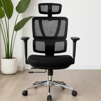 orthopedic high back chair Kenya, orthopedic high back chair Nairobi, orthopedic office chair Kenya, orthopedic office chair Nairobi, high back office chair Kenya, high back office chair Nairobi, ergonomic orthopedic chair Kenya, ergonomic high back chair Kenya, ergonomic office chair Kenya, orthopedic ergonomic office chair Kenya, high back ergonomic office chair Kenya, lumbar support office chair Kenya, office chair with lumbar support Kenya, orthopedic chair with lumbar support Kenya, adjustable orthopedic office chair Kenya, adjustable high back office chair Kenya, comfortable orthopedic office chair Kenya, comfortable high back office chair Kenya, executive orthopedic office chair Kenya, executive high back chair Kenya, premium orthopedic office chair Kenya, modern orthopedic office chair Kenya, professional high back office chair Kenya, supportive office chair Kenya, back support office chair Kenya, posture support office chair Kenya, office chair for back support Kenya, office chair for long hours Kenya, ergonomic chair for long hours Kenya, orthopedic chair for work Kenya, orthopedic chair for office Kenya, orthopedic desk chair Kenya, orthopedic computer chair Kenya, high back computer chair Kenya, high back swivel chair Kenya, adjustable swivel office chair Kenya, reclining high back office chair Kenya, office chair with headrest Kenya, high back chair with headrest Kenya, office chair with adjustable lumbar support Kenya, orthopedic chair for home office Kenya, ergonomic chair for home office Kenya, office chair for professionals Kenya, office chair for managers Kenya, executive office chair Kenya, office chair for CEOs Kenya, office chair for directors Kenya, office chair for staff Kenya, office chair for employees Kenya, office seating solutions Kenya, office furniture Kenya, office furniture Nairobi, ergonomic office furniture Kenya, office chair for sale Kenya, orthopedic office chair for sale Kenya, high back office chair for sale Kenya, orthopedic chair price Kenya, orthopedic office chair price Kenya, high back office chair price Kenya, ergonomic office chair price Kenya, affordable orthopedic chair Kenya, affordable ergonomic office chair Kenya, best orthopedic office chair Kenya, best high back office chair Kenya, best ergonomic office chair Kenya, buy orthopedic office chair Kenya, buy high back chair Nairobi, orthopedic chair supplier Kenya, office chair supplier Kenya, office furniture supplier Kenya, office chair dealers Nairobi, office chair shop Nairobi, office furniture shop Nairobi, office chair showroom Nairobi, office chairs online Kenya, ergonomic chairs online Kenya, office chair delivery Kenya, office furniture delivery Kenya, office chair installation Kenya, office furniture installation Kenya, corporate office chairs Kenya, commercial office chairs Kenya, orthopedic office chairs Mombasa, orthopedic office chairs Kisumu, orthopedic office chairs Nakuru, orthopedic office chairs Eldoret, orthopedic office chairs Thika, orthopedic office chairs Kiambu, orthopedic office chairs Machakos, orthopedic office chairs Nyeri, orthopedic office chairs Meru, orthopedic office chairs Kakamega, orthopedic office chairs Kisii, orthopedic office chairs Kitale, orthopedic office chairs Naivasha, orthopedic office chairs Nanyuki, orthopedic office chairs Malindi, orthopedic office chairs Kilifi, orthopedic office chairs Embu, orthopedic office chairs Kericho, orthopedic office chairs Bungoma, orthopedic office chairs Busia, orthopedic office chairs Migori, orthopedic office chairs Narok, orthopedic office chairs Bomet, orthopedic office chairs Murang'a, orthopedic office chairs Kirinyaga, orthopedic office chairs Nyandarua, orthopedic office chairs Laikipia, orthopedic office chairs Isiolo, orthopedic office chairs Marsabit, orthopedic office chairs Samburu, orthopedic office chairs Turkana, orthopedic office chairs Garissa, orthopedic office chairs Wajir, orthopedic office chairs Mandera, orthopedic office chairs Makueni, orthopedic office chairs Kitui, orthopedic office chairs Kajiado, orthopedic office chairs Kwale, orthopedic office chairs Lamu, orthopedic office chairs Taita Taveta, orthopedic office chairs Uasin Gishu, orthopedic office chairs Nandi, orthopedic office chairs Baringo, orthopedic office chairs Siaya, orthopedic office chairs Vihiga, orthopedic office chairs Trans Nzoia, orthopedic office chairs Homa Bay, best office chairs Kenya, quality office chairs Kenya, affordable office chairs Kenya, office chairs for long working hours Kenya, office chairs for computer work Kenya, ergonomic seating Kenya, office seating Kenya