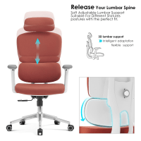 Orthopedic Office Chair, Orthopedic Office Chair Kenya, Orthopaedic Office Chair Kenya, Orthopedic Chair Kenya, Orthopaedic Chair Kenya, Ergonomic Orthopedic Office Chair, Ergonomic Orthopedic Office Chair Kenya, Ergonomic Office Chair Kenya, Orthopedic Ergonomic Chair Kenya, Orthopedic Work Chair Kenya, Orthopedic Computer Chair Kenya, Orthopedic Executive Chair Kenya, Orthopedic Manager Chair Kenya, Orthopedic Desk Chair Kenya, Orthopedic Task Chair Kenya, Orthopedic Staff Chair Kenya, Orthopedic Workstation Chair Kenya, Orthopedic Office Furniture Kenya, Orthopedic Office Seating Kenya, Ergonomic Office Chair, Ergonomic Office Chair Nairobi, Orthopedic Chair Nairobi, Orthopedic Office Chair Nairobi, Ergonomic Orthopedic Chair Nairobi, Comfortable Orthopedic Office Chair, Comfortable Orthopedic Office Chair Kenya, Premium Orthopedic Office Chair, Premium Orthopedic Office Chair Kenya, Professional Orthopedic Office Chair, Professional Orthopedic Office Chair Kenya, High Back Orthopedic Office Chair, High Back Orthopedic Office Chair Kenya, High Back Ergonomic Office Chair Kenya, Mid Back Orthopedic Office Chair, Mid Back Orthopedic Office Chair Kenya, Adjustable Orthopedic Office Chair, Adjustable Orthopedic Office Chair Kenya, Adjustable Ergonomic Office Chair Kenya, Lumbar Support Office Chair, Lumbar Support Office Chair Kenya, Orthopedic Chair with Lumbar Support, Orthopedic Chair with Lumbar Support Kenya, Office Chair with Back Support Kenya, Office Chair with Adjustable Lumbar Support Kenya, Orthopedic Chair with Headrest, Orthopedic Chair with Headrest Kenya, Ergonomic Chair with Headrest Kenya, Orthopedic Chair with Armrests, Orthopedic Chair with Armrests Kenya, Adjustable Armrest Office Chair Kenya, Orthopedic Chair with Adjustable Armrests, Orthopedic Chair with Adjustable Armrests Kenya, Orthopedic Chair with Footrest, Orthopedic Chair with Footrest Kenya, Orthopedic Mesh Chair, Orthopedic Mesh Chair Kenya, Ergonomic Mesh Office Chair Kenya, Orthopedic Leather Office Chair, Orthopedic Leather Office Chair Kenya, Orthopedic Executive Office Chair, Orthopedic Executive Office Chair Kenya, Orthopedic Computer Office Chair, Orthopedic Computer Office Chair Kenya, Orthopedic Study Chair Kenya, Orthopedic Home Office Chair Kenya, Orthopedic Chair for Long Hours, Orthopedic Chair for Long Hours Kenya, Office Chair for Long Sitting Kenya, Ergonomic Chair for Long Hours Kenya, Orthopedic Chair for Back Support, Orthopedic Chair for Back Support Kenya, Back Support Office Chair Kenya, Posture Support Office Chair Kenya, Posture Correction Office Chair Kenya, Orthopedic Posture Chair Kenya, Posture Support Ergonomic Chair Kenya, Spine Support Office Chair Kenya, Lumbar Support Ergonomic Chair Kenya, Back Friendly Office Chair Kenya, Comfortable Office Chair for Work Kenya, Office Chair for Desk Work Kenya, Office Chair for Computer Work Kenya, Office Chair for Professionals Kenya, Office Chair for Managers Kenya, Office Chair for Executives Kenya, Office Chair for Directors Kenya, Office Chair for CEOs Kenya, Orthopedic CEO Chair Kenya, Orthopedic Director Chair Kenya, Orthopedic Manager Chair Kenya, Orthopedic Boss Chair Kenya, Orthopedic Corporate Office Chair Kenya, Orthopedic Business Office Chair Kenya, Orthopedic Professional Chair Kenya, Modern Orthopedic Office Chair, Modern Orthopedic Office Chair Kenya, Contemporary Orthopedic Office Chair Kenya, Stylish Orthopedic Office Chair Kenya, Luxury Orthopedic Office Chair Kenya, Premium Ergonomic Office Chair Kenya, Heavy Duty Orthopedic Office Chair, Heavy Duty Orthopedic Office Chair Kenya, Durable Orthopedic Office Chair Kenya, Strong Orthopedic Office Chair Kenya, Office Chair with Adjustable Height Kenya, Office Chair with Tilt Mechanism Kenya, Office Chair with Reclining Back Kenya, Office Chair with Swivel Base Kenya, Orthopedic Swivel Chair Kenya, Orthopedic Rolling Office Chair Kenya, Orthopedic Chair with Wheels Kenya, Orthopedic Task Chair Kenya, Ergonomic Task Chair Kenya, Orthopedic Staff Office Chair Kenya, Orthopedic Employee Chair Kenya, Orthopedic Reception Chair Kenya, Orthopedic Conference Chair Kenya, Orthopedic Training Chair Kenya, Orthopedic Workplace Chair Kenya, Office Ergonomic Chair Kenya, Office Chair Ergonomics Kenya, Ergonomic Seating Kenya, Office Seating Kenya, Orthopedic Seating Kenya, Office Chair Supplier Kenya, Orthopedic Chair Supplier Kenya, Office Chair Manufacturer Kenya, Orthopedic Chair Manufacturer Kenya, Orthopedic Office Chair Price Kenya, Ergonomic Office Chair Price Kenya, Orthopedic Chair Price Nairobi, Buy Orthopedic Office Chair Kenya, Buy Ergonomic Office Chair Kenya, Best Orthopedic Office Chair Kenya, Best Ergonomic Office Chair Kenya, Affordable Orthopedic Office Chair Kenya, Quality Orthopedic Office Chair Kenya, Orthopedic Office Furniture Nairobi, Office Chairs Nairobi, Ergonomic Office Chairs Nairobi, Orthopedic Office Chairs Nairobi, Office Furniture Kenya, Office Furniture Nairobi, Office Seating Solutions Kenya, Corporate Office Chairs Kenya, Commercial Office Chairs Kenya, Professional Office Seating Kenya, Orthopedic Office Chair for Home Kenya, Orthopedic Office Chair for Business Kenya, Orthopedic Office Chair for Workplace Kenya, Orthopedic Office Chair for Employees Kenya, Orthopedic Office Chair for Managers Kenya, Orthopedic Office Chair for Executives Kenya, Orthopedic Office Chair for Directors Kenya, Orthopedic Office Chair for Professionals Kenya, Orthopedic Office Chair with Lumbar Support Kenya, Orthopedic Office Chair with Headrest Kenya, Orthopedic Office Chair with Armrests Kenya, Orthopedic Office Chair with Adjustable Features Kenya, Orthopedic Office Chair Supplier Nairobi, Ergonomic Chair Supplier Nairobi, Office Chair Supplier Nairobi, Office Furniture Supplier Kenya