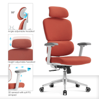 Orthopedic Office Chair, Orthopedic Office Chair Kenya, Orthopaedic Office Chair Kenya, Orthopedic Chair Kenya, Orthopaedic Chair Kenya, Ergonomic Orthopedic Office Chair, Ergonomic Orthopedic Office Chair Kenya, Ergonomic Office Chair Kenya, Orthopedic Ergonomic Chair Kenya, Orthopedic Work Chair Kenya, Orthopedic Computer Chair Kenya, Orthopedic Executive Chair Kenya, Orthopedic Manager Chair Kenya, Orthopedic Desk Chair Kenya, Orthopedic Task Chair Kenya, Orthopedic Staff Chair Kenya, Orthopedic Workstation Chair Kenya, Orthopedic Office Furniture Kenya, Orthopedic Office Seating Kenya, Ergonomic Office Chair, Ergonomic Office Chair Nairobi, Orthopedic Chair Nairobi, Orthopedic Office Chair Nairobi, Ergonomic Orthopedic Chair Nairobi, Comfortable Orthopedic Office Chair, Comfortable Orthopedic Office Chair Kenya, Premium Orthopedic Office Chair, Premium Orthopedic Office Chair Kenya, Professional Orthopedic Office Chair, Professional Orthopedic Office Chair Kenya, High Back Orthopedic Office Chair, High Back Orthopedic Office Chair Kenya, High Back Ergonomic Office Chair Kenya, Mid Back Orthopedic Office Chair, Mid Back Orthopedic Office Chair Kenya, Adjustable Orthopedic Office Chair, Adjustable Orthopedic Office Chair Kenya, Adjustable Ergonomic Office Chair Kenya, Lumbar Support Office Chair, Lumbar Support Office Chair Kenya, Orthopedic Chair with Lumbar Support, Orthopedic Chair with Lumbar Support Kenya, Office Chair with Back Support Kenya, Office Chair with Adjustable Lumbar Support Kenya, Orthopedic Chair with Headrest, Orthopedic Chair with Headrest Kenya, Ergonomic Chair with Headrest Kenya, Orthopedic Chair with Armrests, Orthopedic Chair with Armrests Kenya, Adjustable Armrest Office Chair Kenya, Orthopedic Chair with Adjustable Armrests, Orthopedic Chair with Adjustable Armrests Kenya, Orthopedic Chair with Footrest, Orthopedic Chair with Footrest Kenya, Orthopedic Mesh Chair, Orthopedic Mesh Chair Kenya, Ergonomic Mesh Office Chair Kenya, Orthopedic Leather Office Chair, Orthopedic Leather Office Chair Kenya, Orthopedic Executive Office Chair, Orthopedic Executive Office Chair Kenya, Orthopedic Computer Office Chair, Orthopedic Computer Office Chair Kenya, Orthopedic Study Chair Kenya, Orthopedic Home Office Chair Kenya, Orthopedic Chair for Long Hours, Orthopedic Chair for Long Hours Kenya, Office Chair for Long Sitting Kenya, Ergonomic Chair for Long Hours Kenya, Orthopedic Chair for Back Support, Orthopedic Chair for Back Support Kenya, Back Support Office Chair Kenya, Posture Support Office Chair Kenya, Posture Correction Office Chair Kenya, Orthopedic Posture Chair Kenya, Posture Support Ergonomic Chair Kenya, Spine Support Office Chair Kenya, Lumbar Support Ergonomic Chair Kenya, Back Friendly Office Chair Kenya, Comfortable Office Chair for Work Kenya, Office Chair for Desk Work Kenya, Office Chair for Computer Work Kenya, Office Chair for Professionals Kenya, Office Chair for Managers Kenya, Office Chair for Executives Kenya, Office Chair for Directors Kenya, Office Chair for CEOs Kenya, Orthopedic CEO Chair Kenya, Orthopedic Director Chair Kenya, Orthopedic Manager Chair Kenya, Orthopedic Boss Chair Kenya, Orthopedic Corporate Office Chair Kenya, Orthopedic Business Office Chair Kenya, Orthopedic Professional Chair Kenya, Modern Orthopedic Office Chair, Modern Orthopedic Office Chair Kenya, Contemporary Orthopedic Office Chair Kenya, Stylish Orthopedic Office Chair Kenya, Luxury Orthopedic Office Chair Kenya, Premium Ergonomic Office Chair Kenya, Heavy Duty Orthopedic Office Chair, Heavy Duty Orthopedic Office Chair Kenya, Durable Orthopedic Office Chair Kenya, Strong Orthopedic Office Chair Kenya, Office Chair with Adjustable Height Kenya, Office Chair with Tilt Mechanism Kenya, Office Chair with Reclining Back Kenya, Office Chair with Swivel Base Kenya, Orthopedic Swivel Chair Kenya, Orthopedic Rolling Office Chair Kenya, Orthopedic Chair with Wheels Kenya, Orthopedic Task Chair Kenya, Ergonomic Task Chair Kenya, Orthopedic Staff Office Chair Kenya, Orthopedic Employee Chair Kenya, Orthopedic Reception Chair Kenya, Orthopedic Conference Chair Kenya, Orthopedic Training Chair Kenya, Orthopedic Workplace Chair Kenya, Office Ergonomic Chair Kenya, Office Chair Ergonomics Kenya, Ergonomic Seating Kenya, Office Seating Kenya, Orthopedic Seating Kenya, Office Chair Supplier Kenya, Orthopedic Chair Supplier Kenya, Office Chair Manufacturer Kenya, Orthopedic Chair Manufacturer Kenya, Orthopedic Office Chair Price Kenya, Ergonomic Office Chair Price Kenya, Orthopedic Chair Price Nairobi, Buy Orthopedic Office Chair Kenya, Buy Ergonomic Office Chair Kenya, Best Orthopedic Office Chair Kenya, Best Ergonomic Office Chair Kenya, Affordable Orthopedic Office Chair Kenya, Quality Orthopedic Office Chair Kenya, Orthopedic Office Furniture Nairobi, Office Chairs Nairobi, Ergonomic Office Chairs Nairobi, Orthopedic Office Chairs Nairobi, Office Furniture Kenya, Office Furniture Nairobi, Office Seating Solutions Kenya, Corporate Office Chairs Kenya, Commercial Office Chairs Kenya, Professional Office Seating Kenya, Orthopedic Office Chair for Home Kenya, Orthopedic Office Chair for Business Kenya, Orthopedic Office Chair for Workplace Kenya, Orthopedic Office Chair for Employees Kenya, Orthopedic Office Chair for Managers Kenya, Orthopedic Office Chair for Executives Kenya, Orthopedic Office Chair for Directors Kenya, Orthopedic Office Chair for Professionals Kenya, Orthopedic Office Chair with Lumbar Support Kenya, Orthopedic Office Chair with Headrest Kenya, Orthopedic Office Chair with Armrests Kenya, Orthopedic Office Chair with Adjustable Features Kenya, Orthopedic Office Chair Supplier Nairobi, Ergonomic Chair Supplier Nairobi, Office Chair Supplier Nairobi, Office Furniture Supplier Kenya