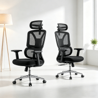 Ergonomic Office Chair Kenya, Ergonomic Office Chair Nairobi, Best Ergonomic Office Chair Kenya, Adjustable Ergonomic Chair Kenya, Executive Ergonomic Office Chair, Comfortable Office Chair Kenya, Modern Ergonomic Office Chair Nairobi, Premium Ergonomic Office Chair Kenya, Luxury Office Chair Nairobi, Professional Office Chair Kenya, High Back Ergonomic Office Chair, Mid Back Ergonomic Office Chair, Mesh Ergonomic Office Chair Kenya, Leather Ergonomic Office Chair Kenya, Fabric Ergonomic Office Chair Kenya, Breathable Mesh Office Chair, Lumbar Support Office Chair Kenya, Adjustable Lumbar Support Chair, Office Chair with Headrest Kenya, Office Chair with Armrests Kenya, Adjustable Height Office Chair, Reclining Ergonomic Office Chair, Swivel Ergonomic Office Chair Kenya, Tilt Mechanism Office Chair, Ergonomic Computer Chair Kenya, Ergonomic Desk Chair Nairobi, Ergonomic Task Chair Kenya, Ergonomic Executive Chair Kenya, Ergonomic Manager Chair Kenya, Ergonomic Staff Office Chair, Ergonomic Home Office Chair Kenya, Work From Home Office Chair, Office Chair for Long Working Hours, Posture Support Office Chair Kenya, Back Support Office Chair Nairobi, Heavy Duty Ergonomic Office Chair, Durable Office Chair Kenya, Modern Office Seating Kenya, Corporate Office Chair Nairobi, Commercial Office Chair Kenya, Office Furniture Kenya, Office Furniture Nairobi, Modern Office Furniture Kenya, Executive Office Furniture Nairobi, Corporate Office Furniture Kenya, Ergonomic Office Furniture Kenya, Professional Office Seating Solutions, Computer Desk Chair Kenya, Office Work Chair Nairobi, Staff Office Chair Kenya, Administrative Office Chair Kenya, Secretary Office Chair Nairobi, Manager Office Chair Kenya, Director Office Chair Kenya, CEO Office Chair Kenya, Reception Office Chair Kenya, Conference Room Chairs Kenya, Boardroom Office Chairs Nairobi, Call Centre Office Chair Kenya, Gaming Style Ergonomic Chair Kenya, Study Office Chair Kenya, Student Office Chair Nairobi, Home Office Furniture Kenya, Workspace Furniture Nairobi, Ergonomic Workspace Solutions Kenya, Office Chair for Small Businesses, Office Chair for Corporate Offices, Office Chair for Startups Kenya, Office Chair for Remote Workers Kenya, Office Chair for Accountants Kenya, Office Chair for Programmers Kenya, Office Chair for Designers Kenya, Office Chair for Customer Service Staff, Office Chair for Call Centres Kenya, Office Chair for Schools Kenya, Office Chair for Universities Kenya, Best Office Chair in Kenya, Affordable Ergonomic Office Chair Kenya, Cheap Office Chair Nairobi, Ergonomic Office Chair Price in Kenya, Office Chair Prices Nairobi, Executive Office Chair Price Kenya, Mesh Office Chair Price Kenya, Leather Office Chair Price Kenya, Buy Ergonomic Office Chair Online Kenya, Ergonomic Office Chair for Sale Kenya, Order Office Chairs Online Kenya, Office Chair Shop Nairobi, Ergonomic Office Chair Suppliers Kenya, Office Chair Dealers Nairobi, Office Chair Wholesale Kenya, Office Chair Manufacturers Kenya, Custom Office Chairs Kenya, Premium Office Chair Supplier Nairobi, Quality Ergonomic Office Chairs Kenya, Durable Office Chairs Nairobi, Best Budget Office Chairs Kenya, Ergonomic Office Chair Deals Kenya, Office Chair Offers Nairobi, Office Furniture Discounts Kenya, Office Chair Delivery Kenya, Office Chair Delivery Nairobi, Office Chair Assembly Services Kenya, Office Furniture Installation Nairobi, Office Chair Repair Services Kenya, Office Chair Spare Parts Nairobi, Office Chair Maintenance Services Kenya, Office Workspace Setup Kenya, Ergonomic Office Chair Nairobi CBD, Ergonomic Office Chair Westlands, Office Chair Kilimani, Ergonomic Chair Lavington, Office Chair Kileleshwa, Ergonomic Office Chair Karen, Office Chair Runda, Ergonomic Chair Parklands, Office Chair Upper Hill, Ergonomic Office Chair Gigiri, Office Chair Industrial Area Nairobi, Ergonomic Chair Kasarani, Office Chair Ruaka, Ergonomic Office Chair Kiambu, Office Chair Thika, Ergonomic Chair Ruiru, Office Chair Juja, Ergonomic Office Chair Machakos, Office Chair Athi River, Ergonomic Chair Kitengela, Office Chair Ngong, Ergonomic Chair Rongai, Ergonomic Office Chair Mombasa, Office Chair Nyali, Ergonomic Chair Bamburi, Office Chair Diani, Ergonomic Office Chair Kilifi, Office Chair Malindi, Ergonomic Office Chair Kisumu, Office Chair Nakuru, Ergonomic Chair Eldoret, Office Chair Naivasha, Ergonomic Office Chair Nanyuki, Office Chair Nyeri, Ergonomic Chair Meru, Office Chair Embu, Ergonomic Office Chair Kakamega, Office Chair Bungoma, Ergonomic Chair Kisii, Office Chair Kericho, Ergonomic Office Chair Kitale, Office Chair Garissa, Ergonomic Chair Isiolo, Office Chair Voi, Ergonomic Office Chair Migori, Office Chair Rongo, Ergonomic Office Chair Homa Bay, Office Chair Siaya, Ergonomic Office Chair Narok, Office Chair Kitui, Ergonomic Office Chair Bomet, Office Chair Lodwar, Ergonomic Office Chair Delivery Across Kenya, Nationwide Office Chair Delivery Kenya, Ergonomic Office Chair Shop Near Me, Where to Buy Ergonomic Office Chairs in Kenya, Online Office Furniture Store Kenya, Affordable Office Seating for Businesses, Premium Ergonomic Chairs for Professionals, Modern Office Chairs for Corporate Workspaces, Comfortable Office Chairs for Daily Use Kenya, High Quality Ergonomic Chairs Nairobi, Best Ergonomic Chair for Back Support Kenya, Adjustable Office Chairs for Employees, Ergonomic Chairs for Home and Office Kenya, Professional Workspace Furniture Suppliers Kenya, Reliable Office Chair Suppliers Nairobi, Best Price Ergonomic Office Chair Kenya, Ergonomic Office Chair Installation Services Kenya, Bulk Ergonomic Office Chairs Kenya, Wholesale Office Chairs Nairobi, Office Furniture Delivery Across Kenya, Modern Executive Seating Solutions Kenya, Ergonomic Office Chair for Productivity and Comfort